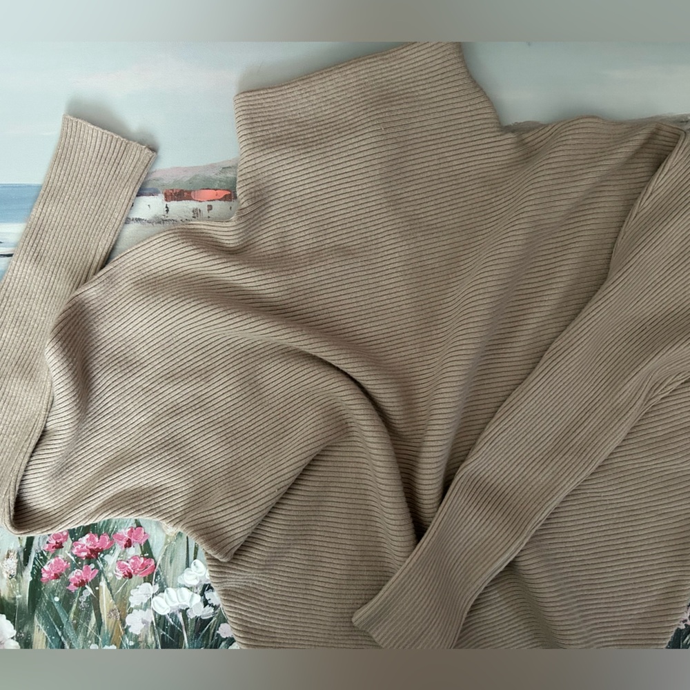 Philosophy Dolman Sleeve Beige Mock Neck Sweater